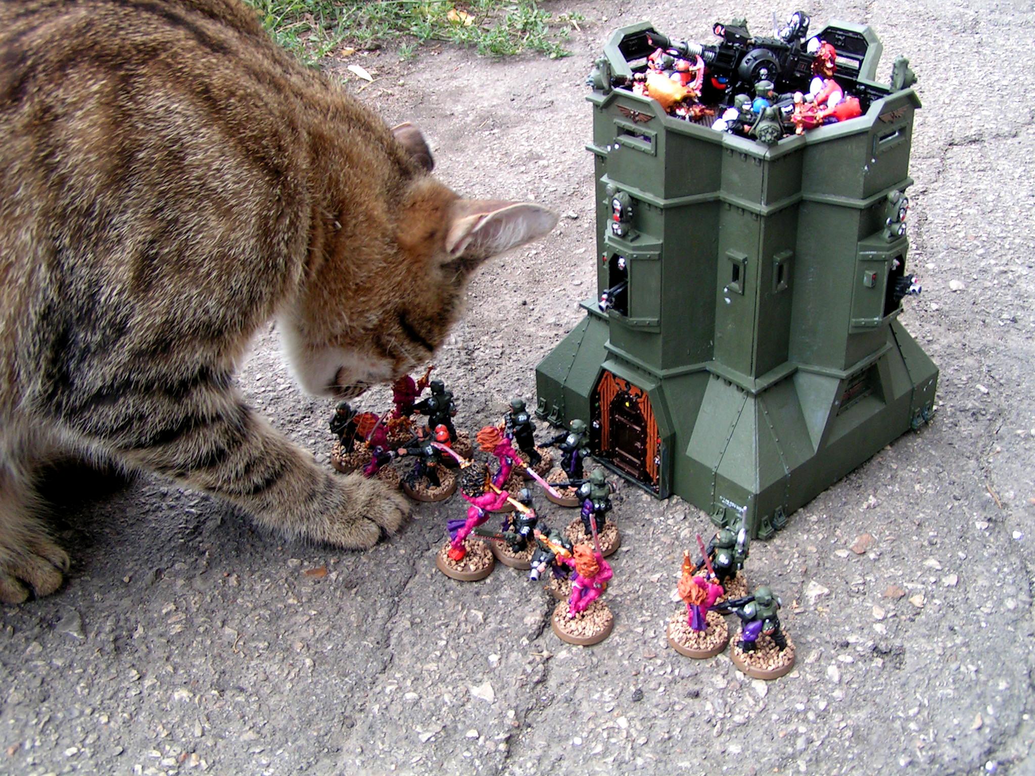 Костюм для кошки танк